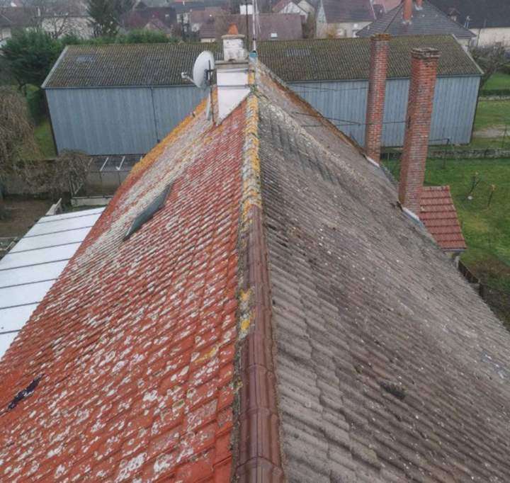 Démoussage de toiture Dijon