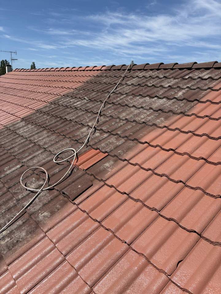 Démoussage de toiture Dijon